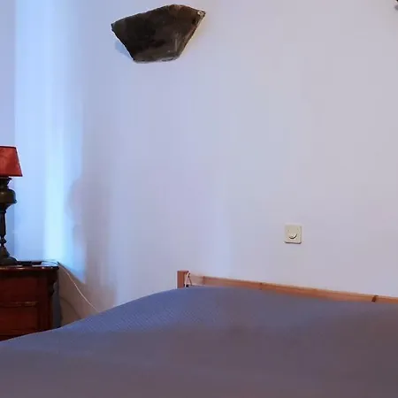 Comfy & Cosy Apartment