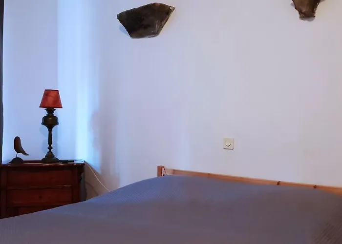 Comfy & Cosy Apartment